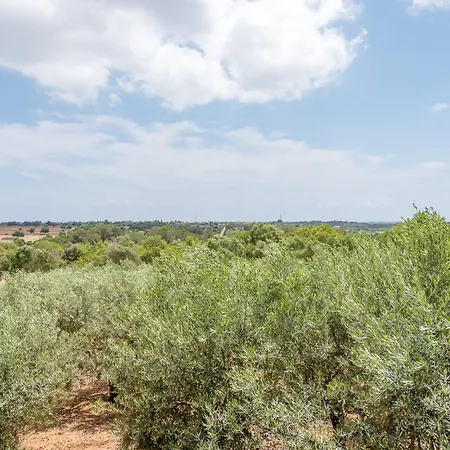 Ses Oliveres By Mallorca House Rent